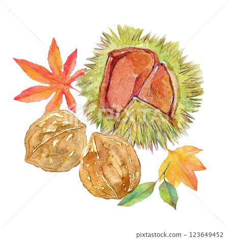 Watercolor illustration: Autumn fruits and leaves 123649452