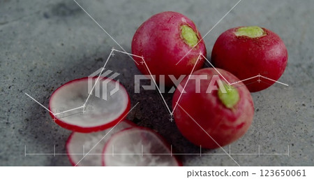 Image of data processing on diagrams over cut radish Image of data processing on diagrams over cut radish 123650061