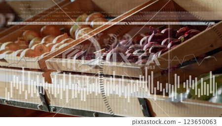 Image of data processing and diagrams over fresh vegetables in shop Image of data processing and diagrams over fresh vegetables in shop 123650063