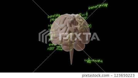 Image of mathematical equations over rotating brain on black background Image of mathematical equations over rotating brain on black background 123650223