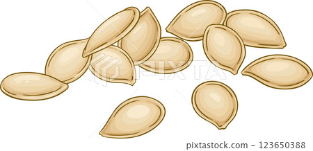 Pumpkin Fruit  Colored Detailed Illustration 123650388
