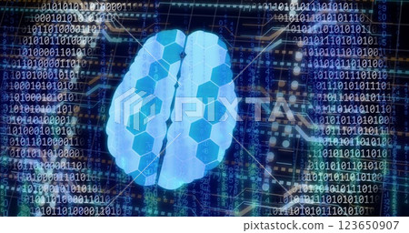 Image of digital brain with connections over binary coding Image of digital brain with connections over binary coding 123650907