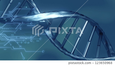 Image of digital data processing over dna strand 123650968