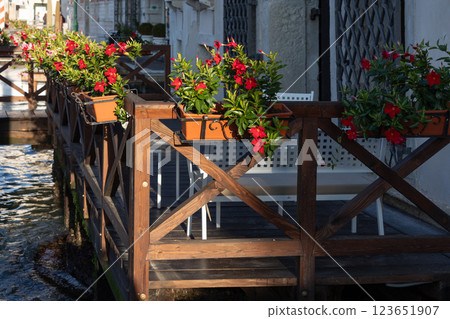 Colorful red flowers on the wooden terrace 123651907