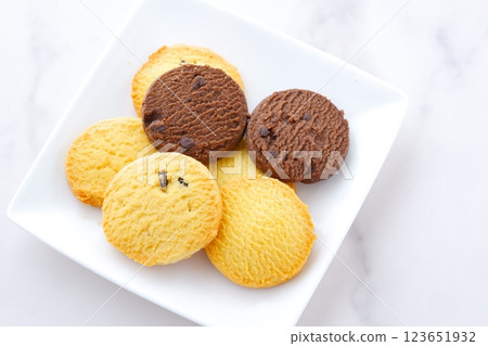 Delicious cookies served on a white plate Delicious cookies served on a white plate 123651932