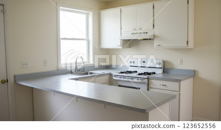 Fashionable kitchen 123652556