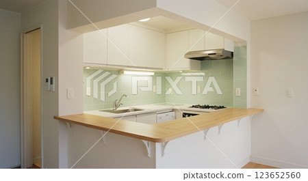 Fashionable kitchen 123652560