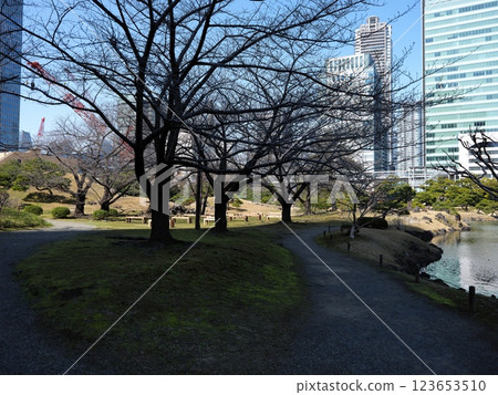 漫步芝離宮公園 123653510
