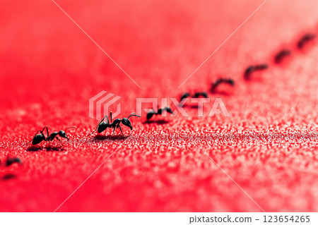 Ants marching on vibrant red surface in macro, AI Generative 123654265