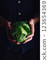 Chef is Holding Small White Cabbage 123654369