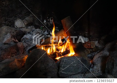 Bonfire in a mountain hut fireplace Bonfire in a mountain hut fireplace 123655027