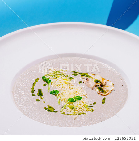 Enjoying a creamy mushroom soup with garnish at a stylish restaurant Enjoying a creamy mushroom soup with garnish at a stylish restaurant 123655031
