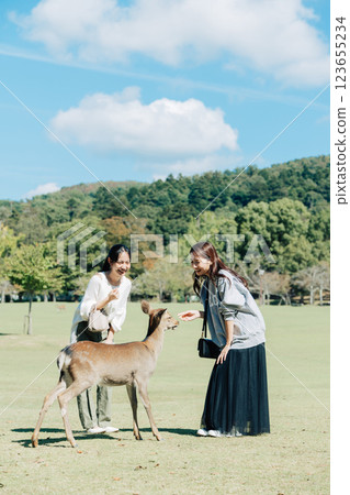 A woman (friend) feeding deer crackers to the deer in Nara Park A woman (friend) feeding deer crackers to the deer in Nara Park 123655234
