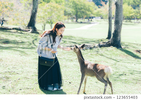 A woman feeding deer crackers to deer in Nara Park 123655403