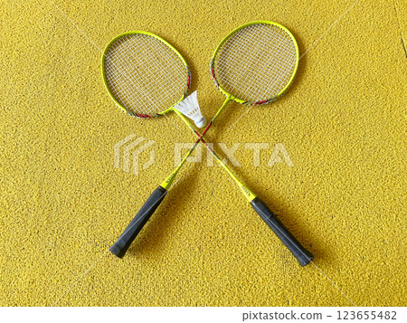 Badminton racket and shuttle Badminton racket and shuttle 123655482