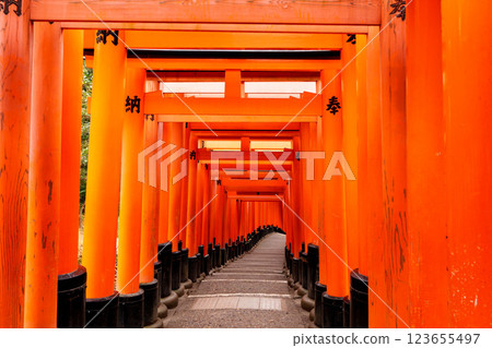 Fushimi-Inari Taisha Fushimi-Inari Taisha 123655497