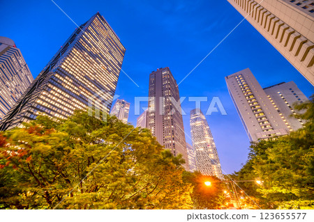 Tokyo, Shinjuku skyscrapers at night Tokyo, Shinjuku skyscrapers at night 123655577