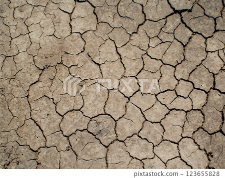 Cracked ground 123655828