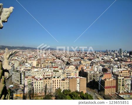 Panoramic view of Barcelona city, Spain 123655851