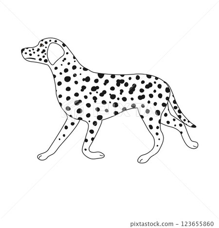Vector flat hand drawn outline Dalmatian dog 123655860