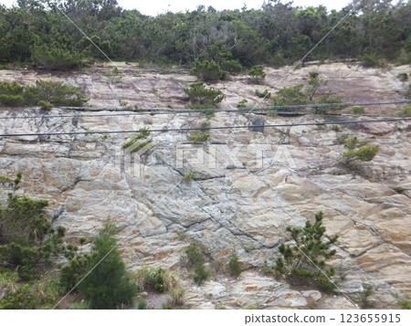渡嘉敷島的大自然 渡嘉敷島的大自然 123655915
