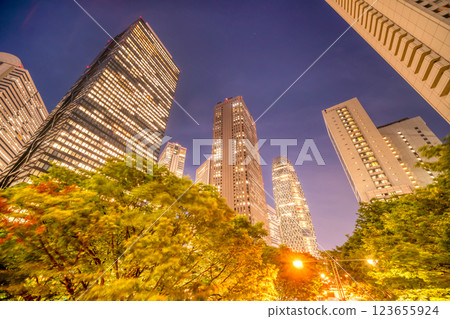 東京，新宿摩天大樓的夜晚 123655924