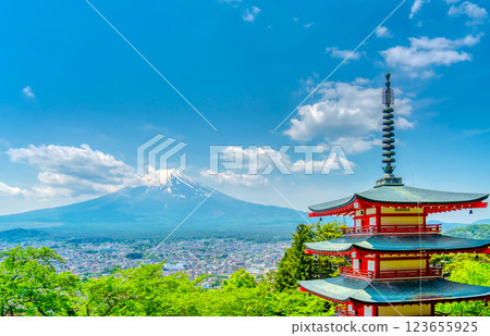 Fresh greenery at Arakurayama Sengen Park and Mt. Fuji Fresh greenery at Arakurayama Sengen Park and Mt. Fuji 123655925