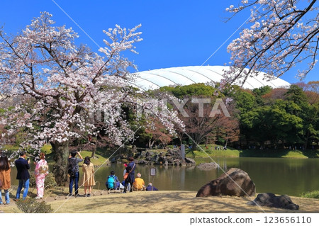 [東京] 小石川後在晴天時樂園的櫻花盛開 123656110