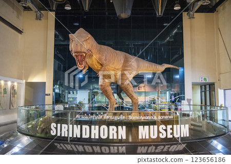 THAILAND KALASIN DINOSAUR MUSEUM 123656186