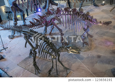 THAILAND KALASIN DINOSAUR MUSEUM 123656191