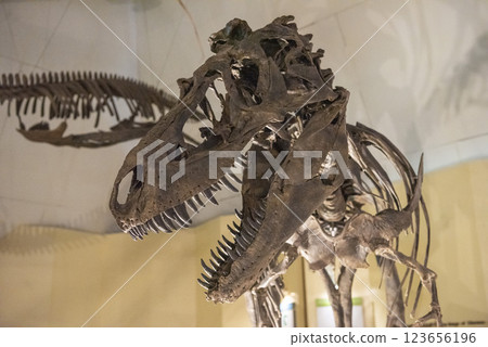 THAILAND KALASIN DINOSAUR MUSEUM 123656196