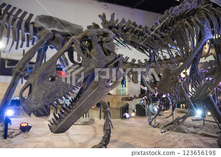 THAILAND KALASIN DINOSAUR MUSEUM THAILAND KALASIN DINOSAUR MUSEUM 123656198