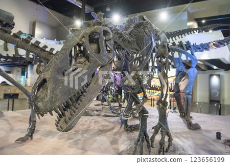 THAILAND KALASIN DINOSAUR MUSEUM THAILAND KALASIN DINOSAUR MUSEUM 123656199