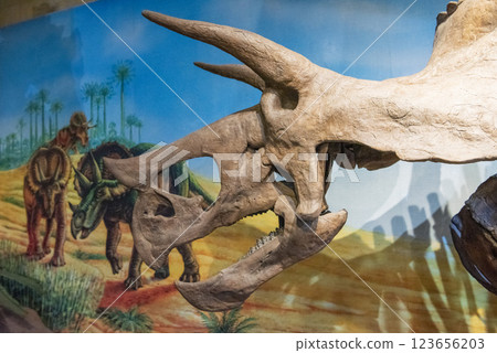 THAILAND KALASIN DINOSAUR MUSEUM THAILAND KALASIN DINOSAUR MUSEUM 123656203