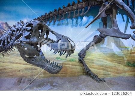 THAILAND KALASIN DINOSAUR MUSEUM THAILAND KALASIN DINOSAUR MUSEUM 123656204
