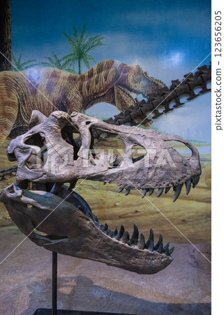 THAILAND KALASIN DINOSAUR MUSEUM THAILAND KALASIN DINOSAUR MUSEUM 123656205