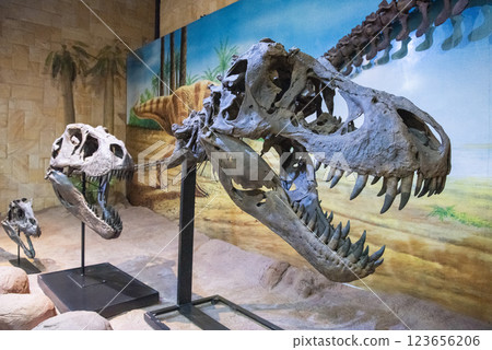 THAILAND KALASIN DINOSAUR MUSEUM THAILAND KALASIN DINOSAUR MUSEUM 123656206