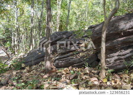 THAILAND KALASIN DINOSAUR MUSEUM THAILAND KALASIN DINOSAUR MUSEUM 123656231