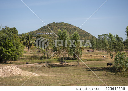 THAILAND KALASIN DINOSAUR MUSEUM THAILAND KALASIN DINOSAUR MUSEUM 123656236