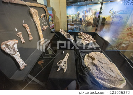 THAILAND KALASIN DINOSAUR MUSEUM THAILAND KALASIN DINOSAUR MUSEUM 123656273