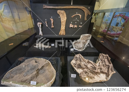 THAILAND KALASIN DINOSAUR MUSEUM THAILAND KALASIN DINOSAUR MUSEUM 123656274