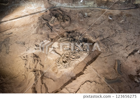 THAILAND KALASIN DINOSAUR MUSEUM THAILAND KALASIN DINOSAUR MUSEUM 123656275