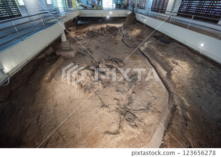 THAILAND KALASIN DINOSAUR MUSEUM THAILAND KALASIN DINOSAUR MUSEUM 123656278