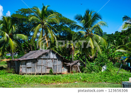 Madagascar's countryside 123656306