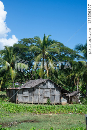 Madagascar's countryside 123656307