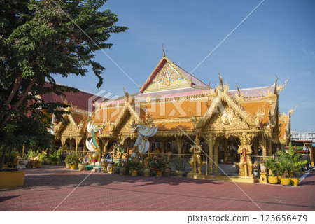 THAILAND PATTAYA WAT NONG AO 123656479