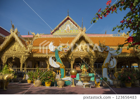 THAILAND PATTAYA WAT NONG AO THAILAND PATTAYA WAT NONG AO 123656483