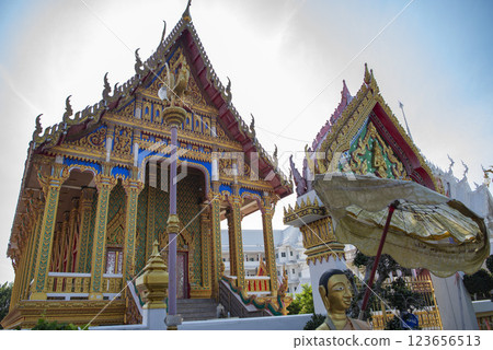 THAILAND PATTAYA WAT NONG YAI THAILAND PATTAYA WAT NONG YAI 123656513