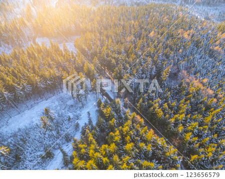 Aerial perspective reveals a serene winter forest blanketed in snow. A winding road cuts through the trees, illuminated by warm golden sunlight, enhancing the tranquil winter setting. Aerial perspective reveals a serene winter forest blanketed in snow. A winding road cuts through the trees, illuminated by warm golden sunlight, enhancing the tranquil winter setting. 123656579