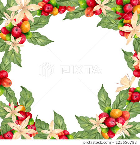 Coffee square frame with beans and flower, leaves. Watercolor illustration. Botanical background of ripening berries. Coffee day. Hand drawn isolated art. Aroma of Robusta and Arabica varieties. Coffee square frame with beans and flower, leaves. Watercolor illustration. Botanical background of ripening berries. Coffee day. Hand drawn isolated art. Aroma of Robusta and Arabica varieties. 123656788